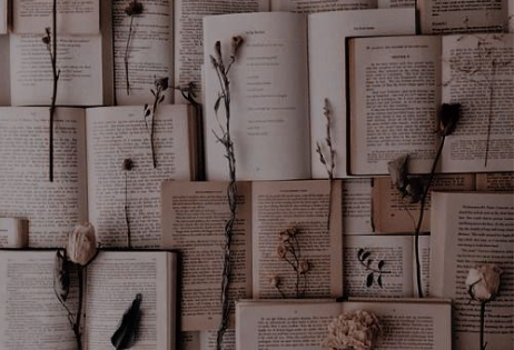 Pesquisa e Desenvolvimento